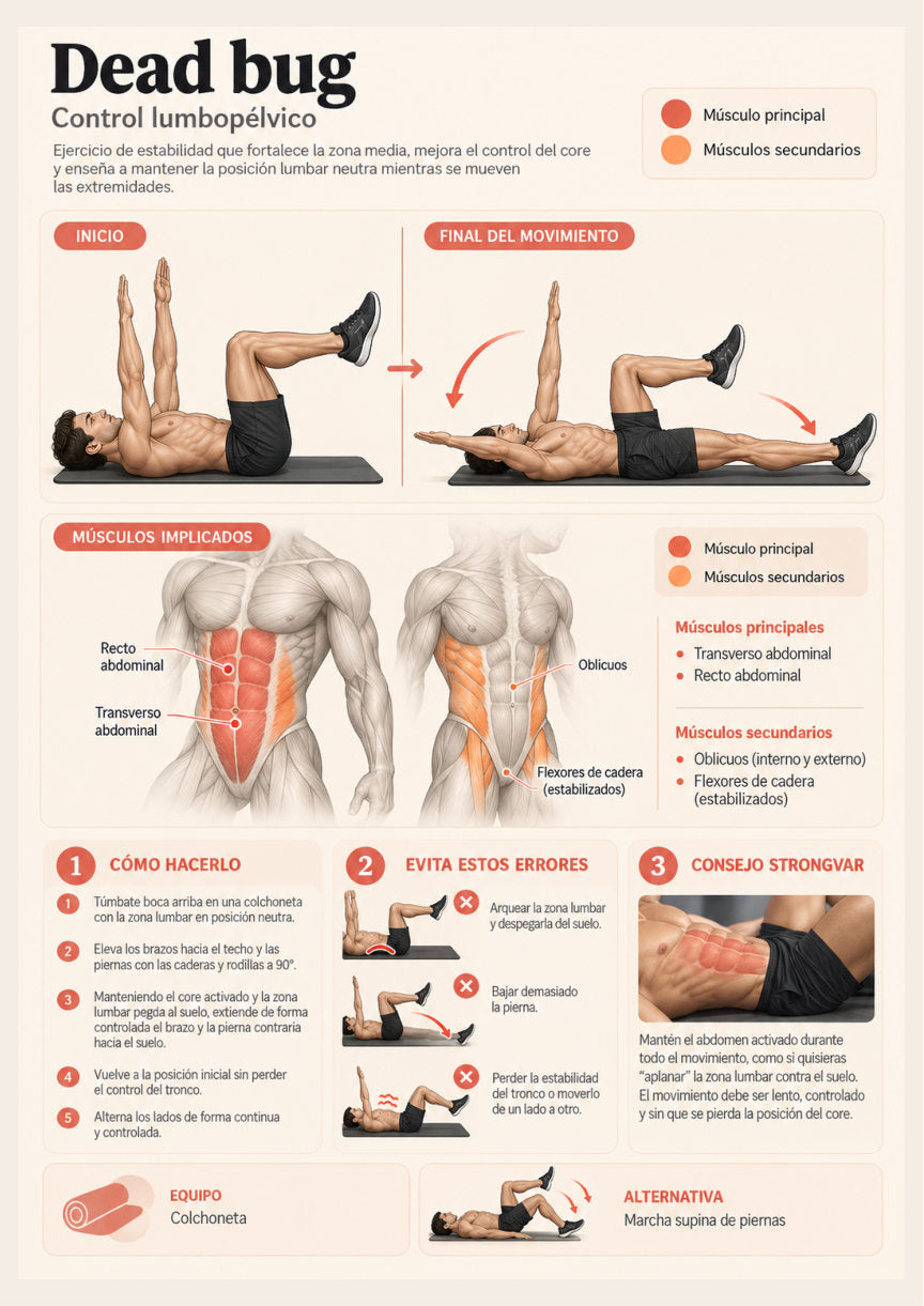 Strongvar Training| Guía práctica de musculación en PDF